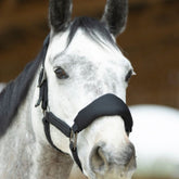 HENRY equestrian - Harcour x ProConfort - Σετ Ανατομικό Καπίστρι & Σχοινί Dorai – Black