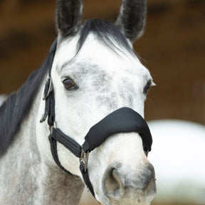 HENRY equestrian - Harcour x ProConfort - Σετ Ανατομικό Καπίστρι & Σχοινί Dorai – Black