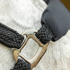 HENRY equestrian - Harcour x ProConfort - Σετ Ανατομικό Καπίστρι & Σχοινί Dorai – Black