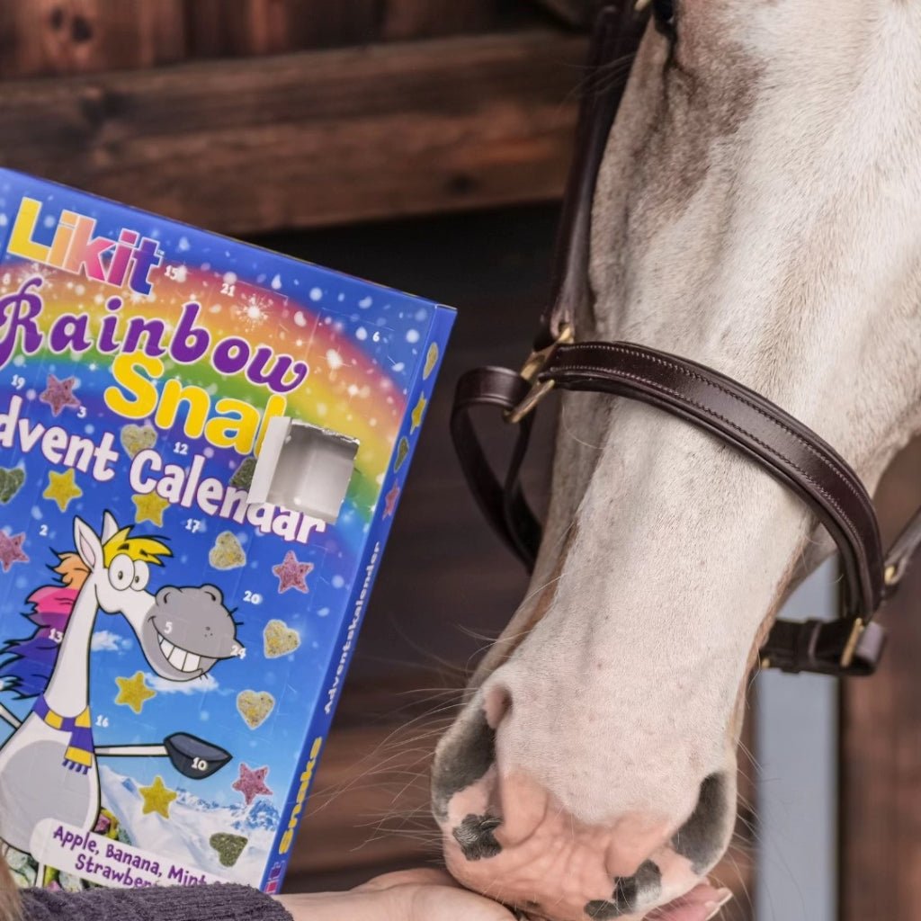 HENRY equestrian - Likit - Advent Calendar - Rainbow Lightened