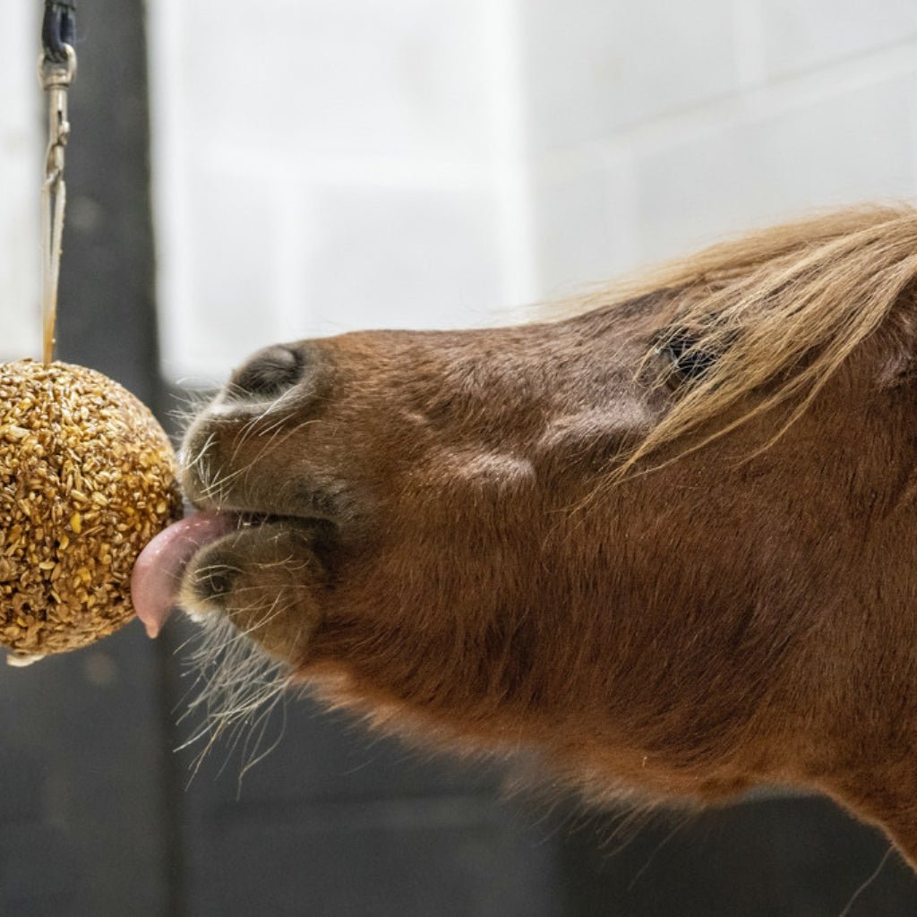 HENRY equestrian - Likit - Γλειφιτζούρι Stall Ball - Granola Mixed Berry 1,6 kg