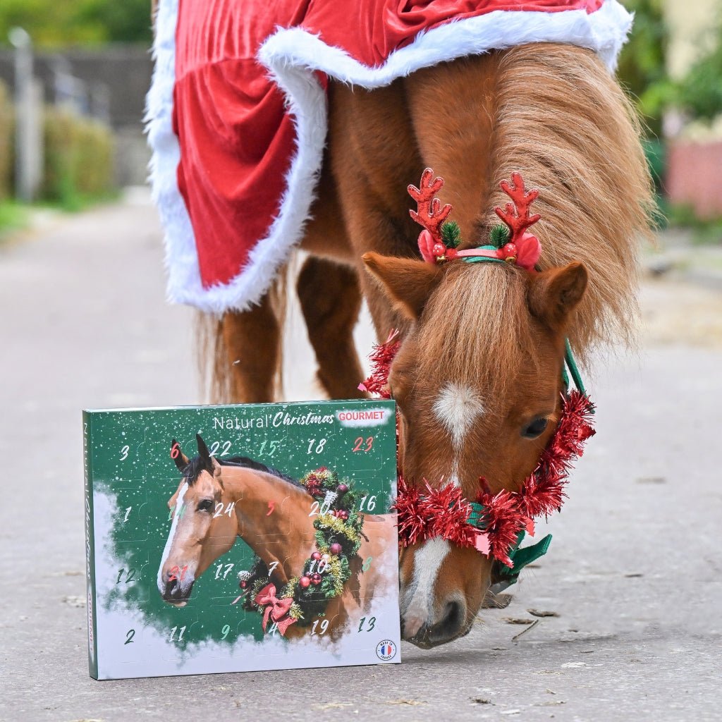 HENRY equestrian - Natural'Innov - Natural'Christmas - Ημερολόγιο των Χριστουγέννων