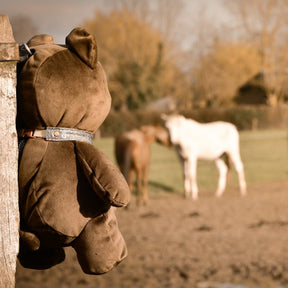 HENRY equestrian - OSKKIO - Mr Nounours