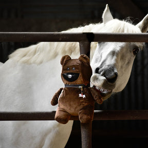 HENRY equestrian - OSKKIO - Mr Nounours