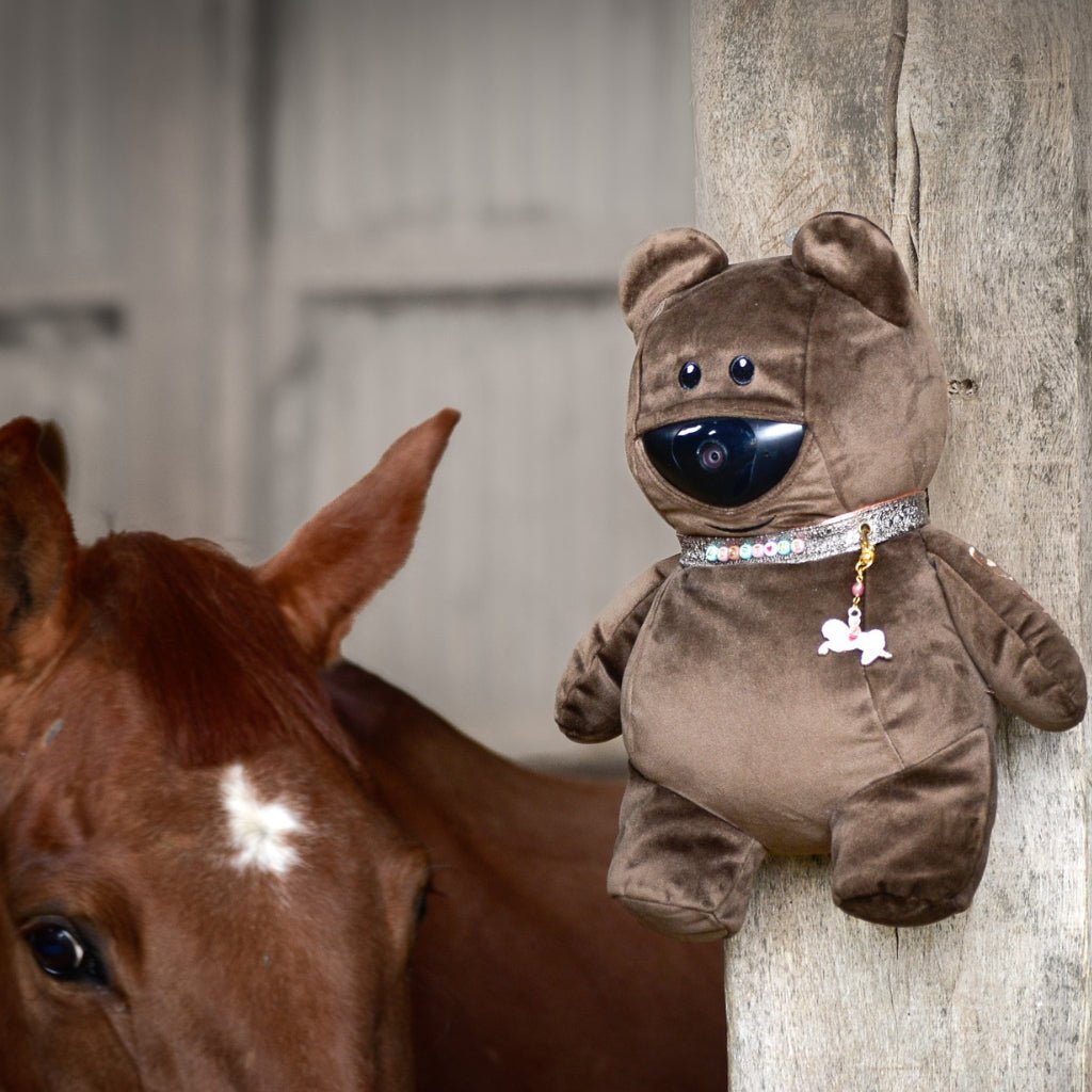 HENRY equestrian - OSKKIO - Mr Nounours