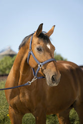 HENRY equestrian - Equitheme - Καπίστρι με σχοινί Glitter navy
