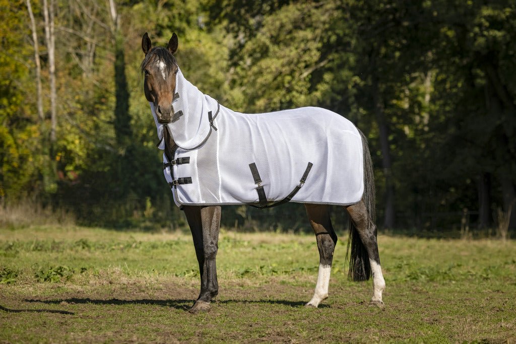 HENRY equestrian - Equitheme - Κουβέρτα για μύγες 3D mesh λευκό