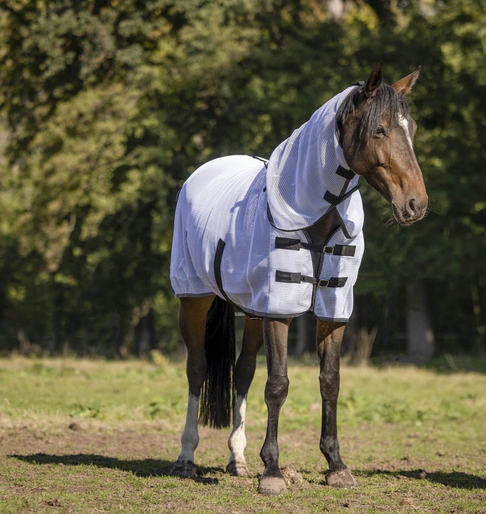 HENRY equestrian - Equitheme - Κουβέρτα για μύγες 3D mesh λευκό