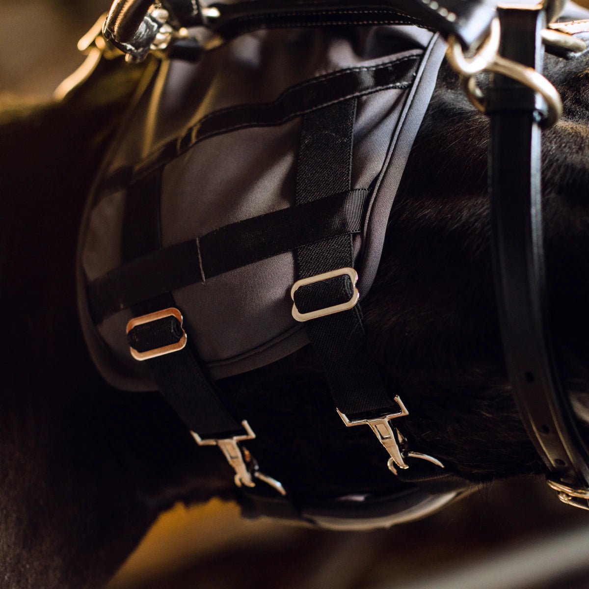 HENRY equestrian - Fenwick - Μάσκα από υγρό τιτάνιο χωρίς αυτιά μαύρο