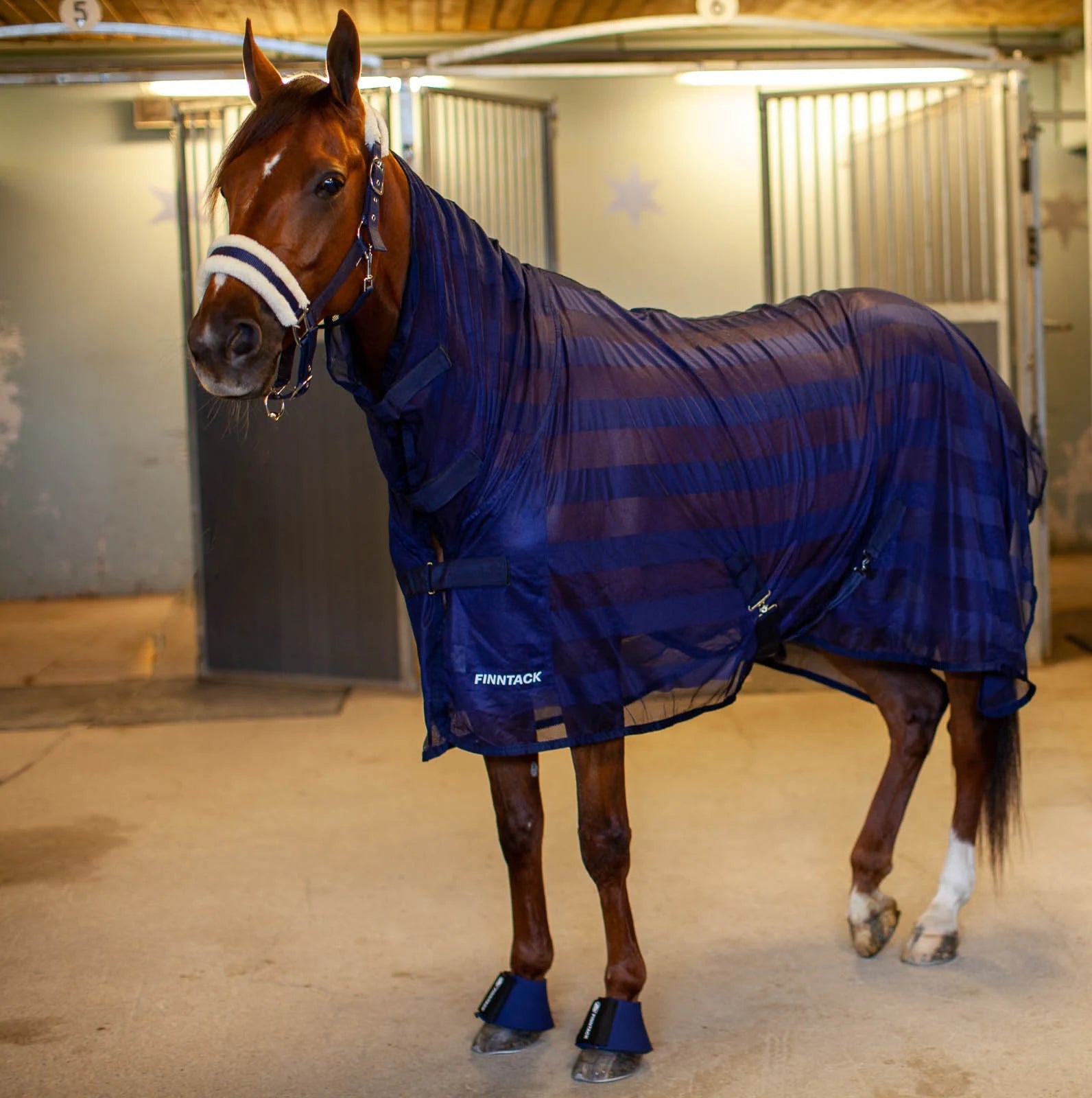HENRY equestrian - Finntack - Κουβέρτα δροσιάς & για μύγες με πλέγμα ψηλού λαιμού navy