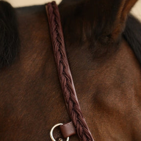 HENRY equestrian - Harcour - Καπίστρι Hups brown