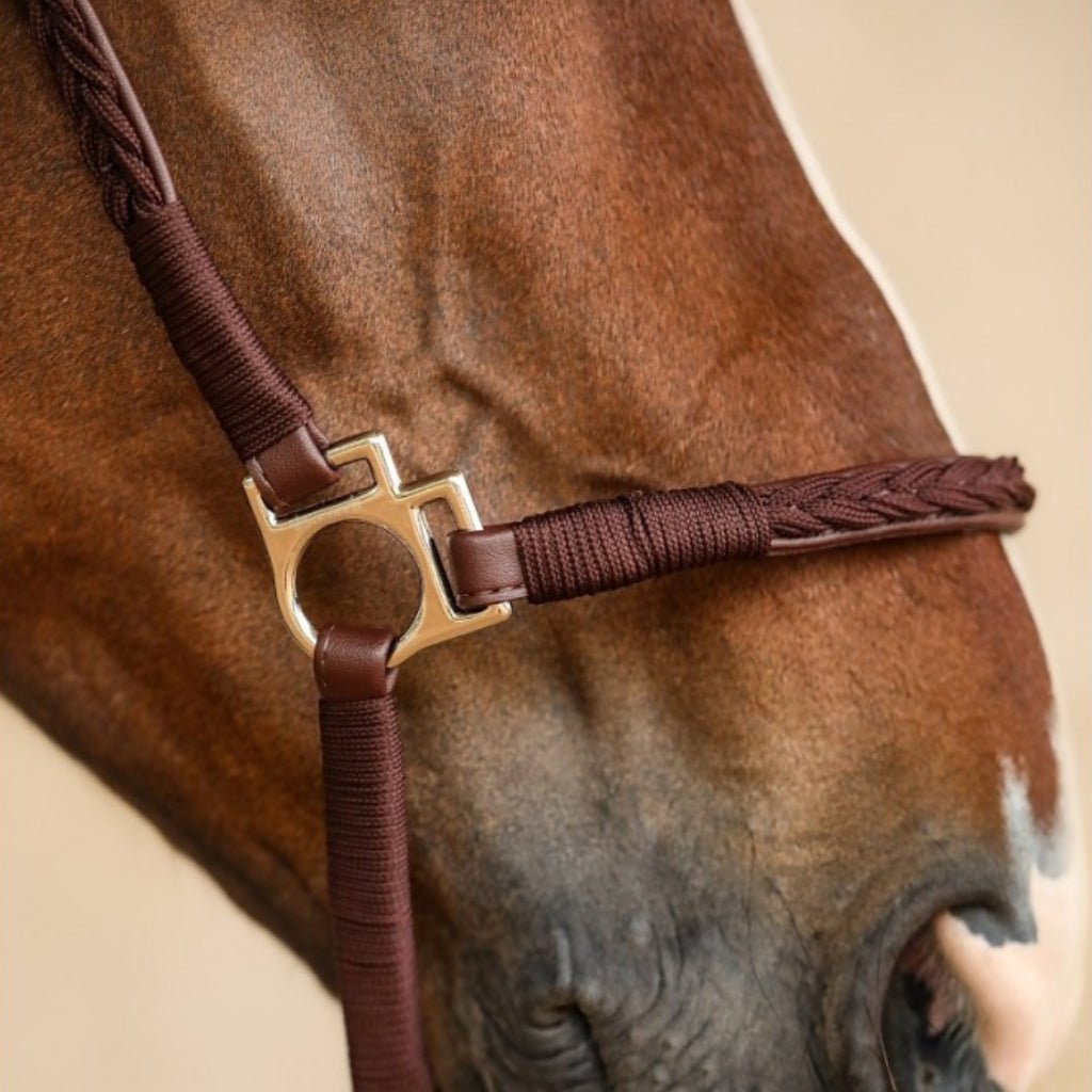 HENRY equestrian - Harcour - Καπίστρι Hups brown