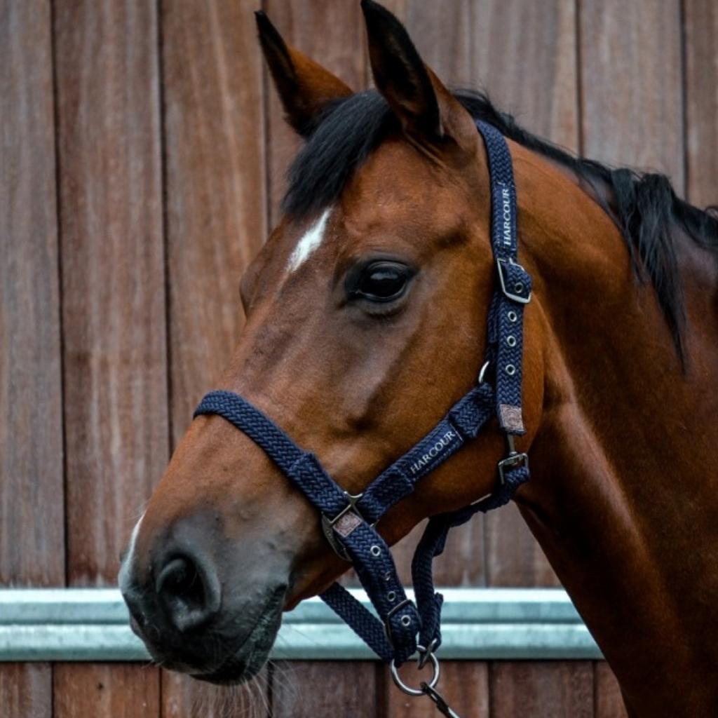 HENRY equestrian - Harcour - Καπίστρι με σχοινί Fiction - μαύρο