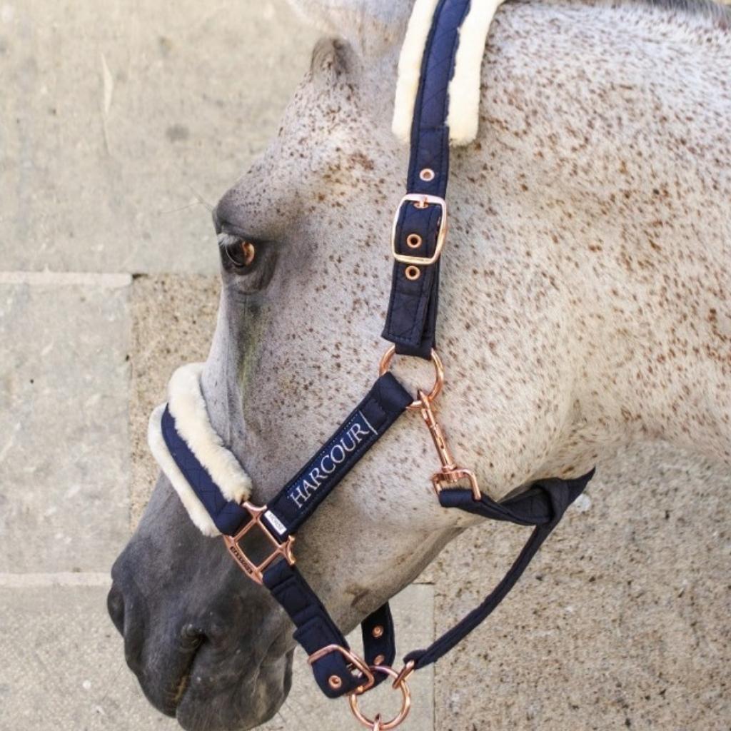 HENRY equestrian - Harcour - Καπίστρι με σχοινί Holly - navy