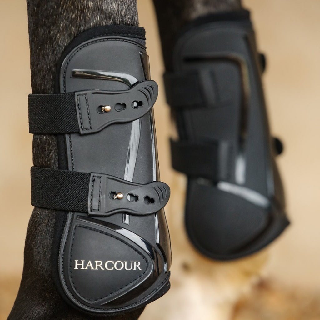 HENRY equestrian - Harcour - Μπροστινές γκέτες Paddi - Black