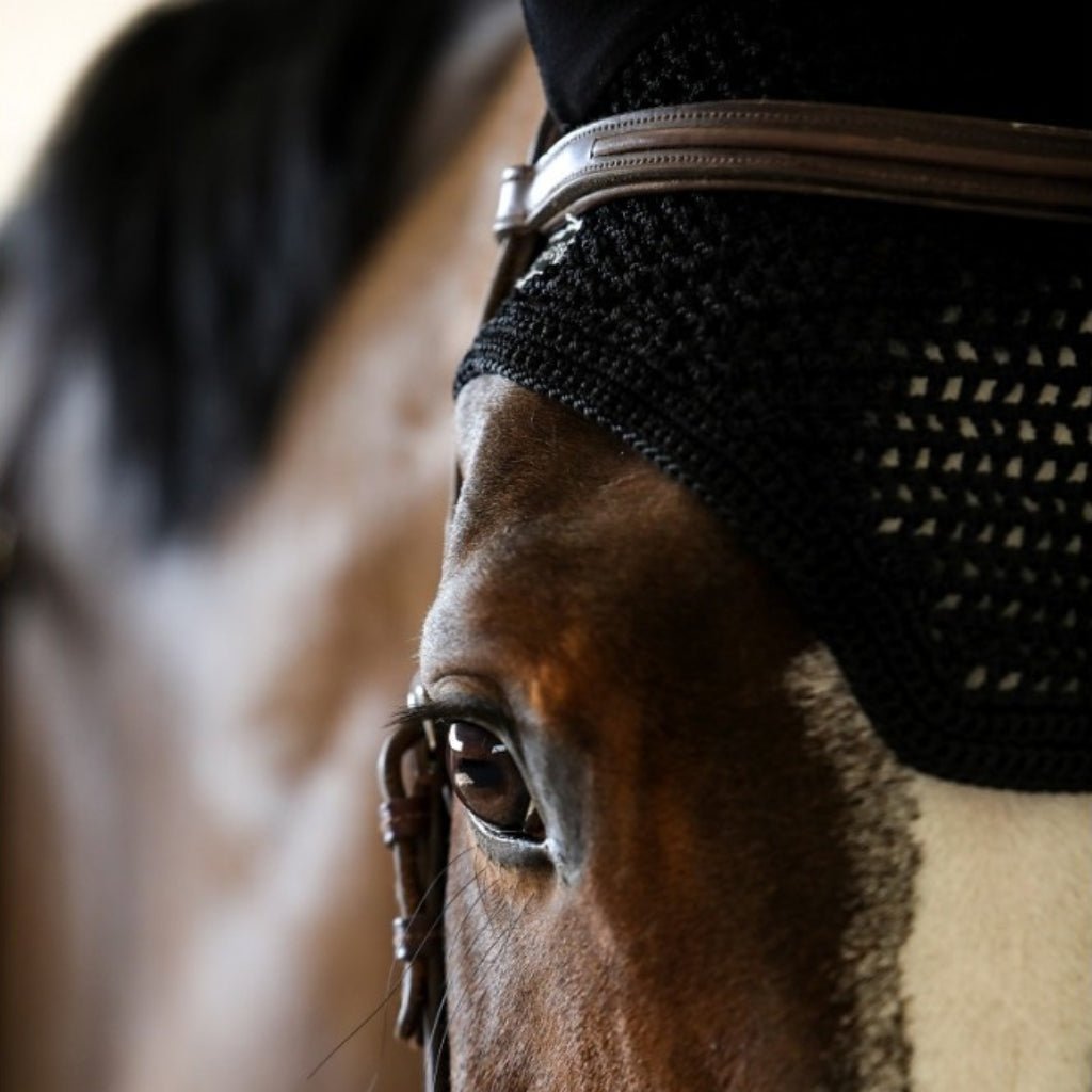 HENRY equestrian - Harcour - Σκουφάκι Rubis - black