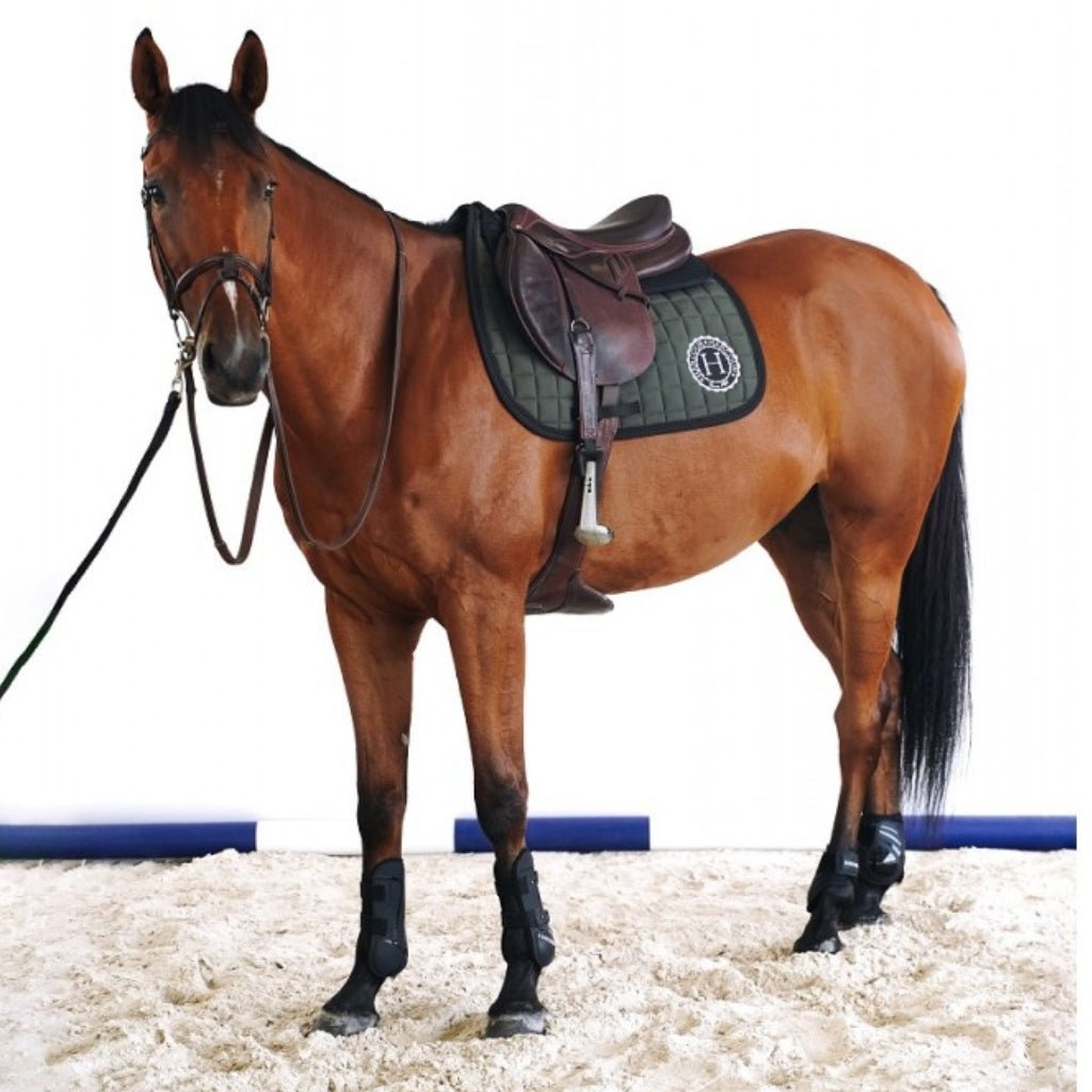 HENRY equestrian - Harcour - Υπόσαγμα jumping Safine Khaki