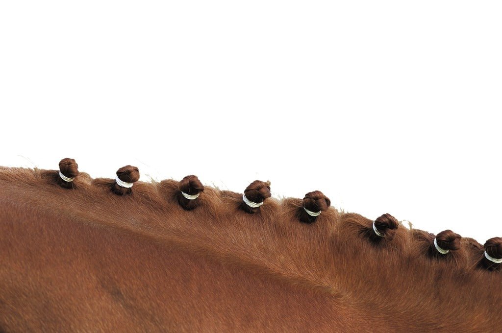 HENRY equestrian - Hippotonic - 500 Λαστιχάκια πλεξούδας - λευκό