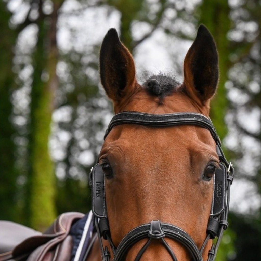 HENRY equestrian - Jump’In - Blinker one μαύρο