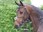 HENRY equestrian - Jump’In - Howlett Week καφέ