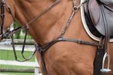 HENRY equestrian - Jump'In - Προστερνίδιο 5 σημεία + μαρτινγκάλα One καφέ