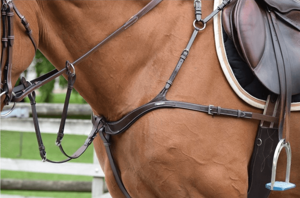 HENRY equestrian - Jump'In - Προστερνίδιο 5 σημεία + μαρτινγκάλαΑ One μαύρο