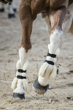 HENRY equestrian - Norton - Μπροστινές γκέτες με κουμπιά και γούνα XTR full μαύρο