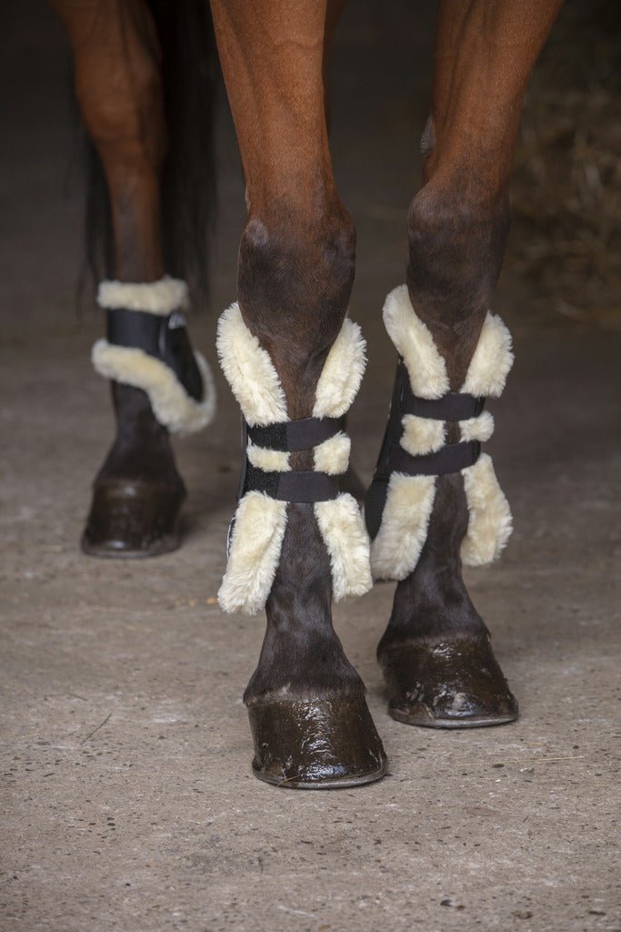 HENRY equestrian - Norton - Πίσω γκέτες με γούνα XTR full μαύρο
