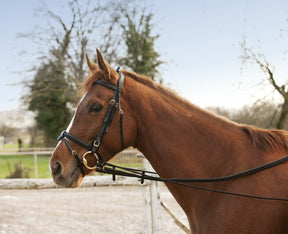 HENRY equestrian - Norton - Ρυθμιζόμενο ελαστικό λουρί - elastic training reins
