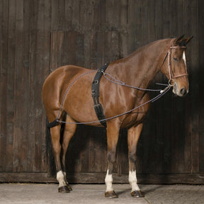 HENRY equestrian - NORTON - Σύστημα Εκπαίδευσης Συραγωγέα "Pessoa"