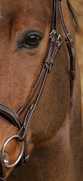 HENRY equestrian - Norton - Χαλινό Pro Perle μαύρο