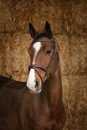 HENRY equestrian - Norton - Χαλινό Pro Perle μαύρο