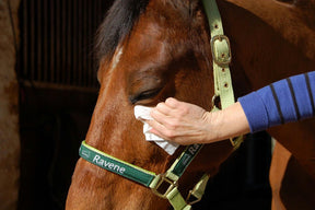 HENRY equestrian - Ravene - Μαντηλάκια καθαρισμού τριχών, ματιών και μύτης Easy Shine wipe